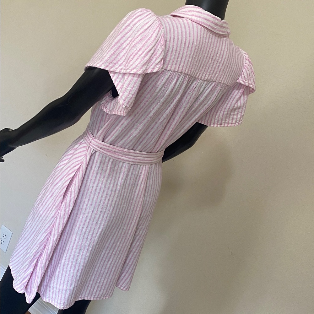 Alexis Pink and White Striped Button Mini Dress - Picture 8 of 14